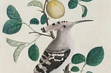 Paper Birds and Whispering Trees