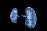 AI discovers new Kidney Processes

AI discovers new kidney process

Recent discoveries in the field…