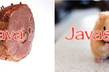 Java and Javascript are not the same