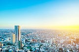 Social Innovation, Sustainability, and Disaster Resilience: Lessons from Japan