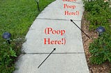 Guest Poops On Our Front Walk