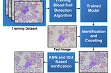 Automatic Identification and Counting of Blood Cells