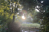 An english garden and forest with the sunrise peeping through a gap in the trees.