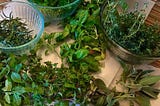 How to start a container herb garden