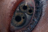 Body Horror: Abusing the Human Body for a Reason