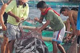 Fishers set to incur financial loss over PH’s 25-M kilos fish import