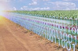 Realizing the promise of digital agriculture