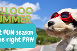 HOT SUMMER DAYS ARE HERE, ARE YOU AND YOUR ENERGETIC DOG PREPARED?