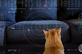 A Cat from Space: NASA Unveils Laser-Sharp Communication