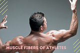 Debunking the Myths about Athletes Muscle Fibers