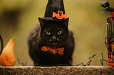 Ten Spooky 10-Word Tales 🎃