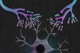Synapse showing neurotransmission