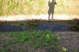 Child’s shadow near a stream.