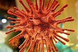 Coronavirus in the US — What’s Next?