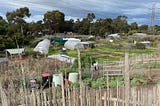 Opening a conversation on ‘soft tech infrastructure as community garden’