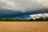 Stormfront approaching over soybean field