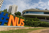 Academic Internship at NUS