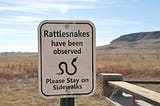 The Rules of the TDG