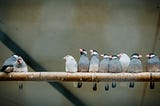 What Are the Group Norms in Your Organization?
