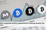 Public companies quietly expand Bitcoin holdings despite flat prices