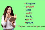 Mnemonic Devices : Everything You Need To Know!!