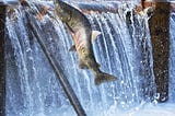 Upstream