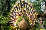 MASA Art & Culture Hadirkan Orchid Extravaganza, Membawa Ragam Budaya Indonesia ke Gardens by the…