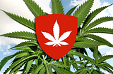 Hanftheke Bern: A Review of Switzerland’s Premium Cannabis Dispensary