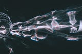 Abstract glass reflections on a dark surface, symbolizing the Liquid Glass transition effect in iOS 26.