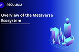 Overview of the Metaverse Ecosystem