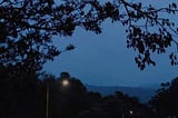 The Rain Took the Light, But I’m Back