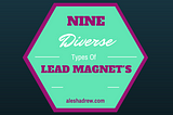 Nine Diverse Types of Lead Magnet’s