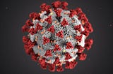 A Novel Coronavirus 3D computer image | Photo by CDC on Unsplash