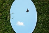 A grass field  displaying an oval mirror placed on its surface that has captured  clear blue sky with a pair of birds and a cloud looks like fluffy white cotton-ball in it.