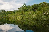 A COP30 Report