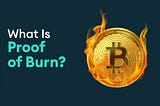 Unveiling the Potential of Proof of Burn (PoB) in Blockchain Technology