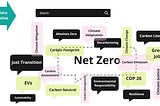 Critiquing the Net Zero status quo