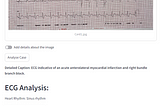 CairoSynth’s groundbreaking application, Cardiologist Assistant