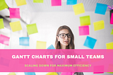 Gantt Charts for Small Teams: Scaling Down for Maximum Efficiency