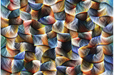 Make money using NFT + AI | Feature Visualization