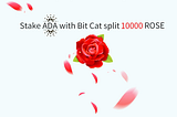 Stake ADA with Bit Cat split 10000 ROSE