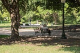 The Heat Is On: How Austin’s Record Temperatures Are Reshaping the City