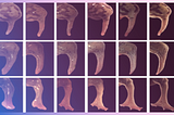 Why Prime Movers Lab Invested in Morphoceuticals