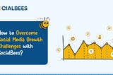 How to Overcome Social Media Growth Challenges with SocialBees?