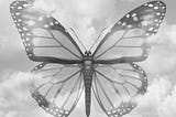 A black and white image of a butterfly against the clouds