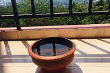 a Bowl of water for birds during hot wheather