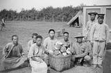 Chinese Labour Corp - 145,000 forgotten heroes.