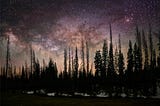 Milky Way and Trees