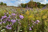 Our choices in landscape plantings have an impact far downstream