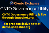 Announcing CNTO Governance